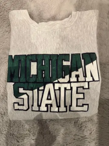 champion reverse weave 90s