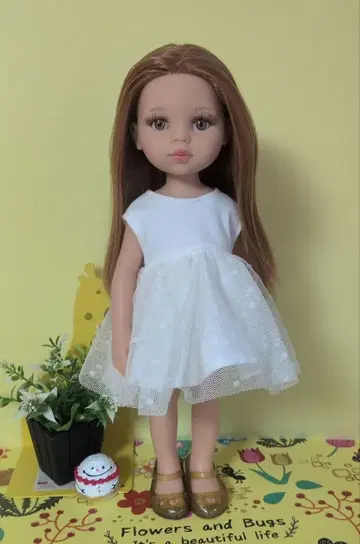 파올라돌 파올라레이나 본체만