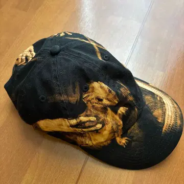 used 타이 다이 블랙 캡