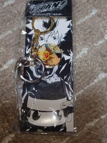 가정교사 히트맨 REBORN! 봉고레 반지 키링