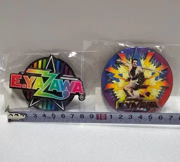 야자와 에이요시 마그넷