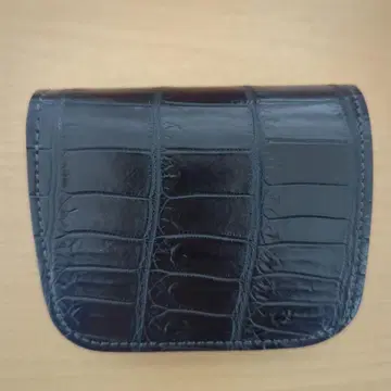 WILDSWANS CASA (크로커다일)