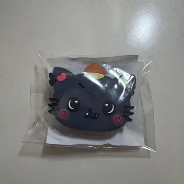 nct wish 리쿠 부채 액세서리