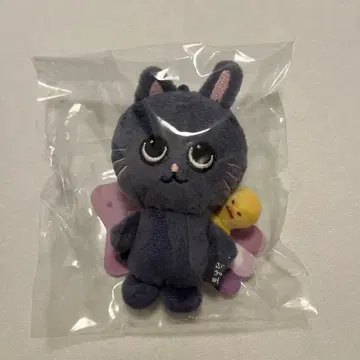 [ RIIZE ] 키링 원빈