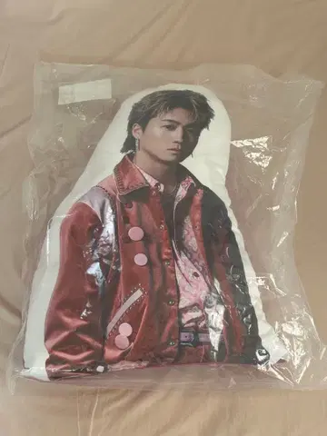 FANTASTICS 세구치 레이야 다이컷 쿠션