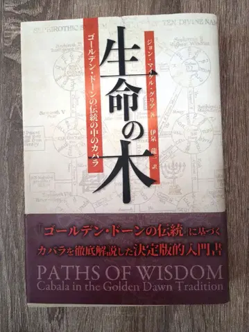 생명의 나무 골든 던의 전통 속 카발라 존 마이클 그리