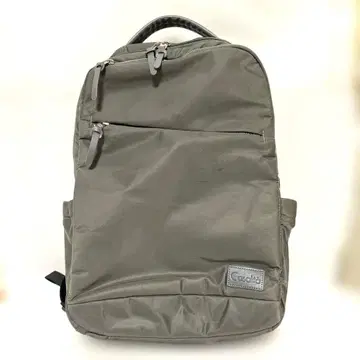 캐서리타 CL-3117 AGS 럭색 그레이 중고