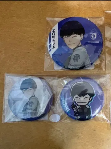 괴수 8호 호시나 소우시로 오로라 캔뱃지