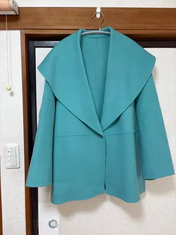 Plage 해밀턴 와이드 컬러 숏코트 36