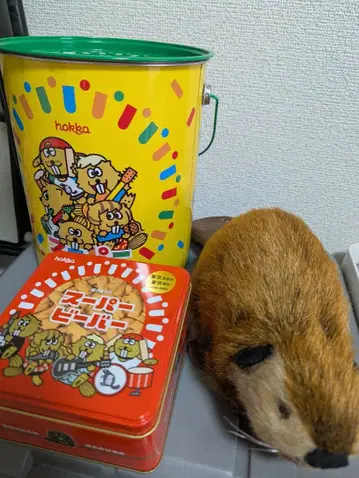 SUPER BEAVER 슈퍼 비버짱 요시토쿠