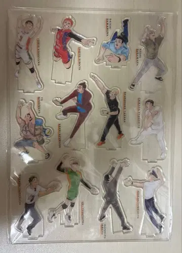 하이큐!! 10th 크로니클 아크릴 피규어 30개