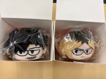 하이큐 지로리 타와라코 쿠로오 코즈메