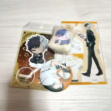 윈블 사쿠라 하루카 묶음 판매