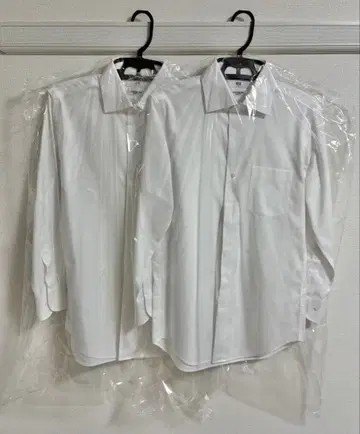 화이트 포멀 셔츠 2장 세트