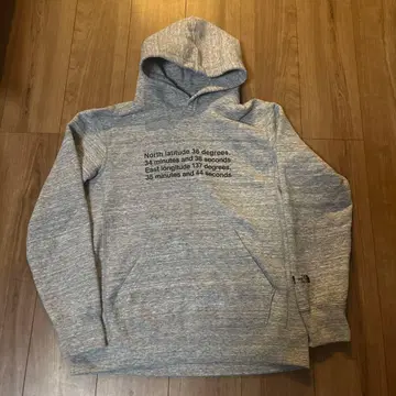 THE NORTH FACE 후드 부착 후드티 L 사이즈 그레이
