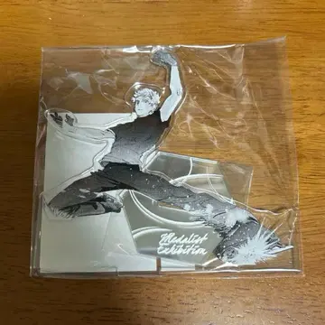 메달리스트전 빙상 아크릴 스탠드 아케우라 로지 츠루마이카다