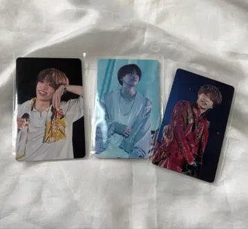 우라시마사카타센 포토 카드 센라