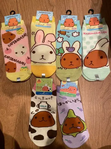 카피바라 씨 양말 6세트