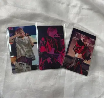 우라시마사카타센 우라타누키 포토 카드