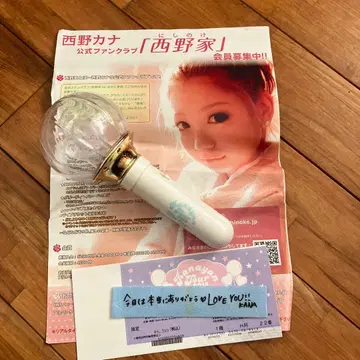 Kananayan Tour 2013 Spring 응원봉