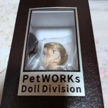 6분의 1 남자 도감 노움코어 에이트