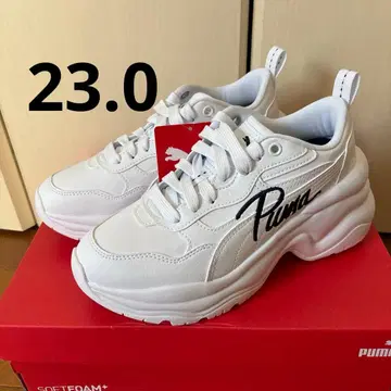 시리아 웨지 SnowMan 아베 료헤이 모델