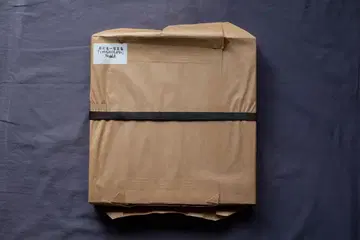 생명의 안쪽 이시카와 류이치