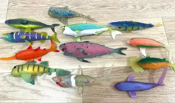 샤크 어택! 앤드 코! 세트 판매