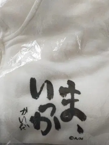 카이다 하루 마, 잇카 후드티 화이트 S 새상품