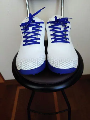 화이트/블루 골프화