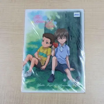 미개봉 테니스의 왕자님 후지 슈스케 후지 유타 책받침 유년기