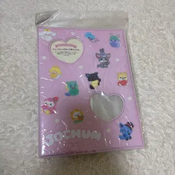 JOCHUM 트레이딩 카드용 파일