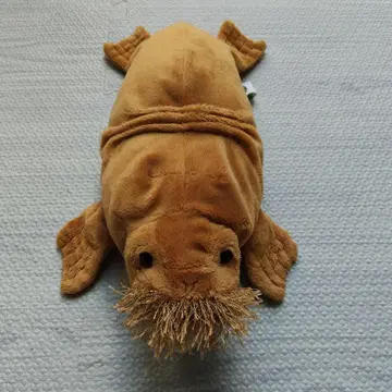 바다코끼리 봉제 인형 바다코끼리 봉제 인형