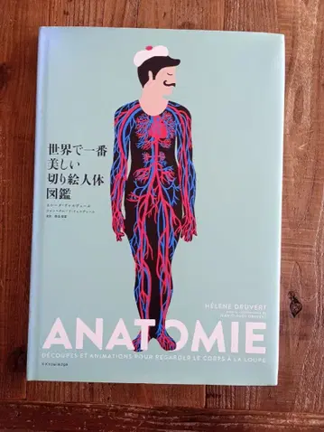 세상에서 가장 아름다운 종이 공예 인체 도감