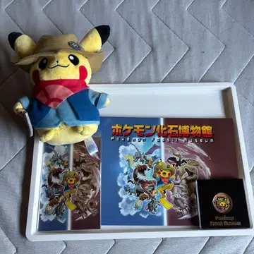 포켓몬 화석 박물관 묶음 판매