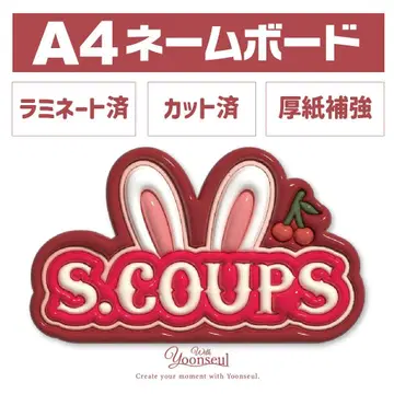 즉시 구매 OK! SEVENTEEN 세부치 네임보드 에스쿱스 승철