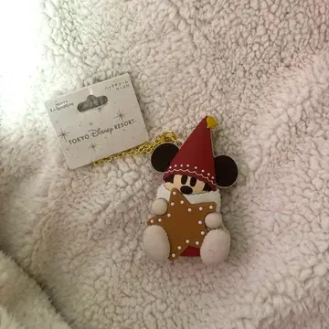 [ 디즈니 ] 크리스마스 2025 릴린린 백참 케이스 포함