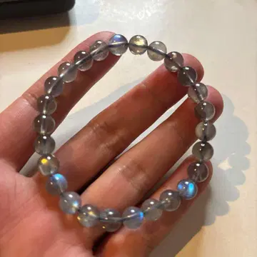 정말 예쁜 래브라도 라이트! 마음을 울리네요!