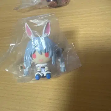 초코놋코 페코라