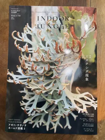 [ 절판 ] 실내 정글 No.02 4월호 증간 비카크시드 특집