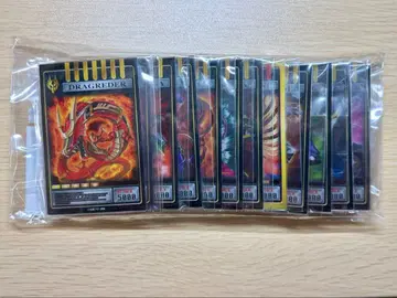 가면라이더 류우키 미러 월드 아크릴 시트 스탠드 컬렉션 컴프 세트