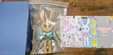 토토코 카모플라쥬 초코 민트 컬러 소프트 비닐 상자 소책자 포함