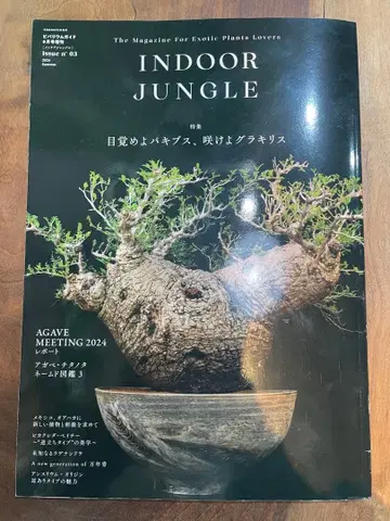 INDOORJUNGLE03 2024 실내 정글 파키푸스