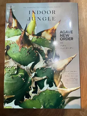 INDOOR JUNGLE: 04 AGAVE NEW ORDER