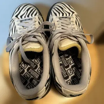 PUMA 제브라 패턴 스니커즈