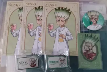 닥터 스톤 이시가미 센쿠 묶음 판매 로프트 로우 100