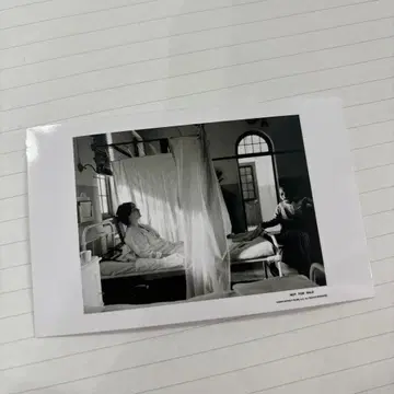 낙하의 왕국 입장객 혜택 메모리얼 카드