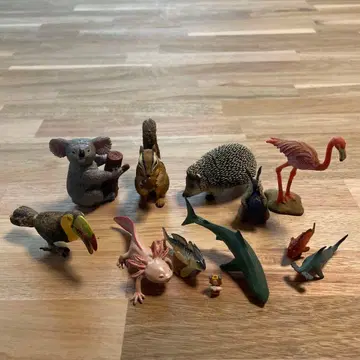 동물과 물고기 피규어 세트 12개 (중고품)