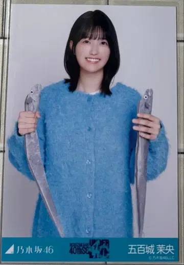 노기자카46 브로마이드 이오키 마오 니트 x 롱 데님 스커트