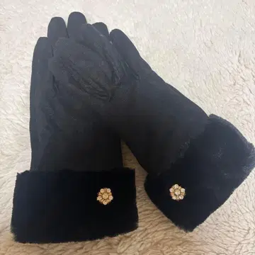 릴리 브라운 퍼 비쥬 장갑